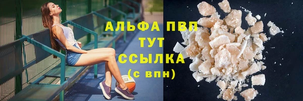 мяу мяу мука Гатчина