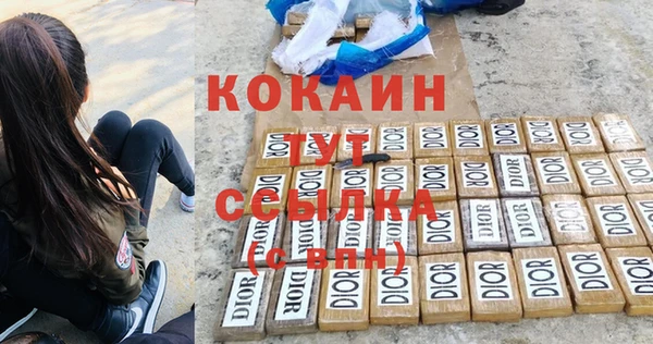 мяу мяу мука Гатчина