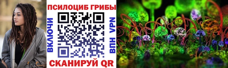 Галлюциногенные грибы Psilocybine cubensis  Обоянь 